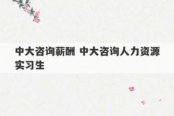 中大咨询薪酬 中大咨询人力资源实习生