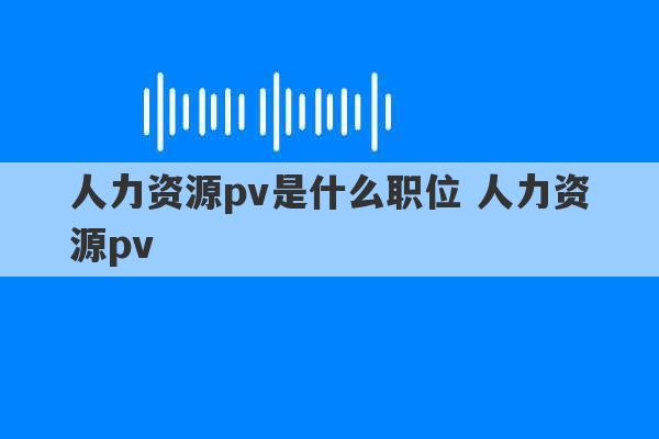 人力资源pv是什么职位 人力资源pv