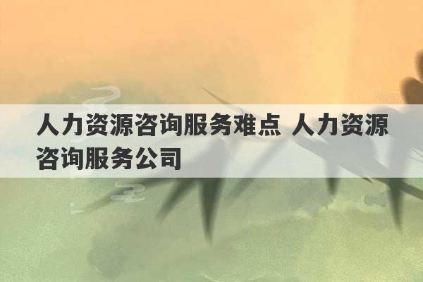 人力资源咨询服务难点 人力资源咨询服务公司