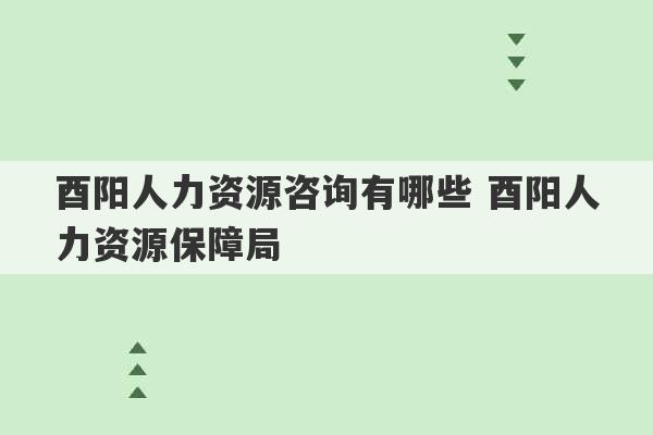 酉阳人力资源咨询有哪些 酉阳人力资源保障局