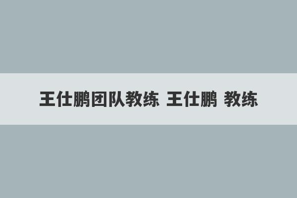 王仕鹏团队教练 王仕鹏 教练