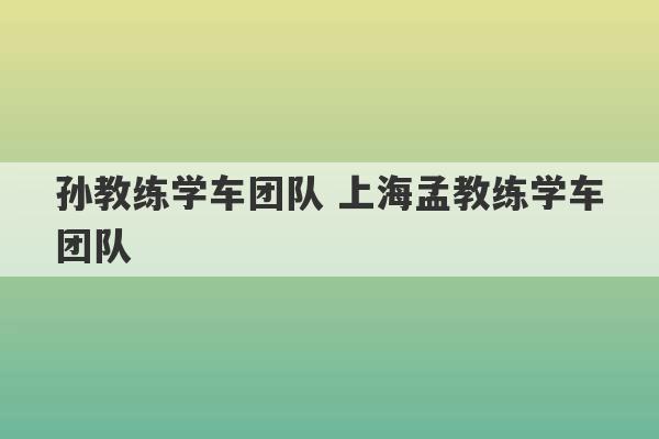 孙教练学车团队 上海孟教练学车团队