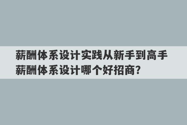 薪酬体系设计实践从新手到高手 薪酬体系设计哪个好招商？