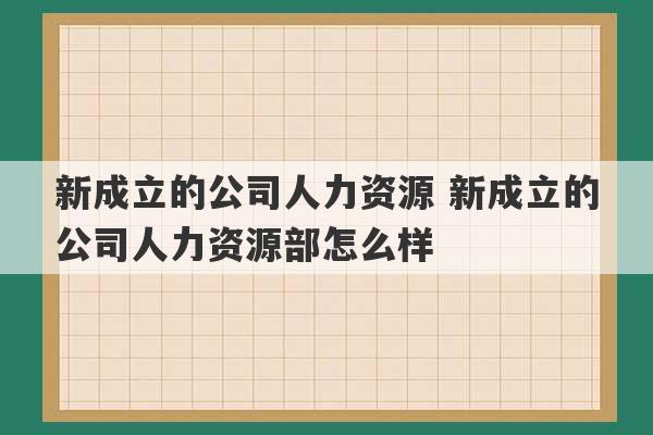 新成立的公司人力资源 新成立的公司人力资源部怎么样