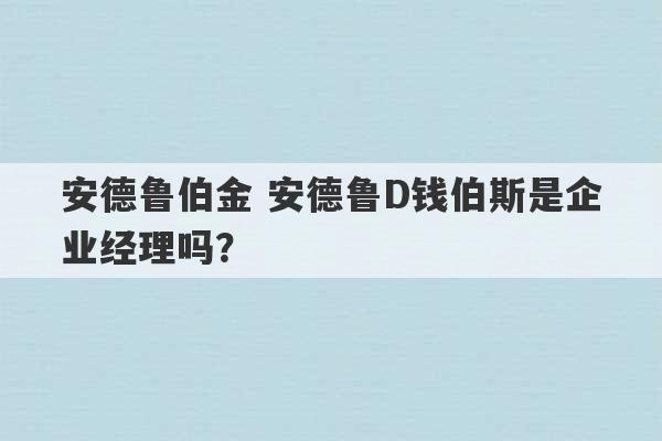 安德鲁伯金 安德鲁D钱伯斯是企业经理吗？