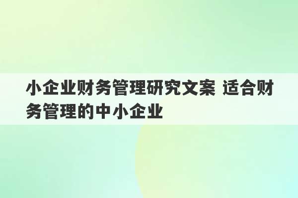 小企业财务管理研究文案 适合财务管理的中小企业