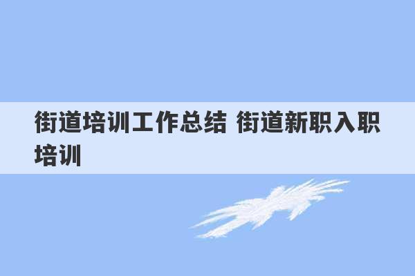 街道培训工作总结 街道新职入职培训