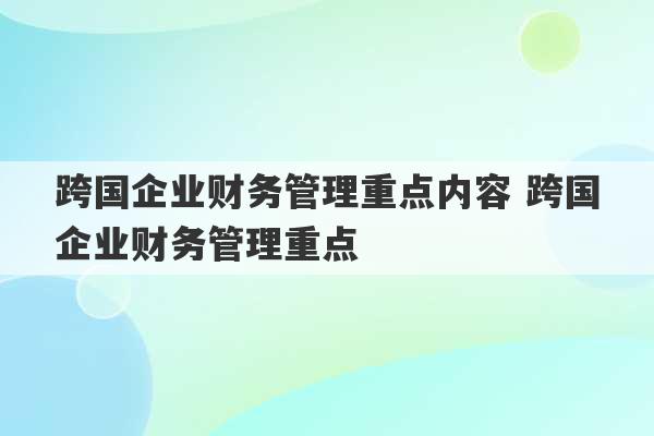 跨国企业财务管理重点内容 跨国企业财务管理重点