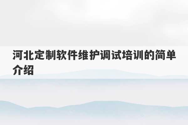 河北定制软件维护调试培训的简单介绍