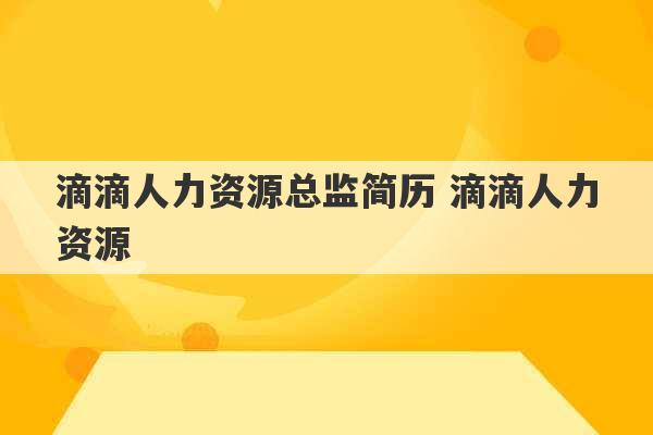 滴滴人力资源总监简历 滴滴人力资源