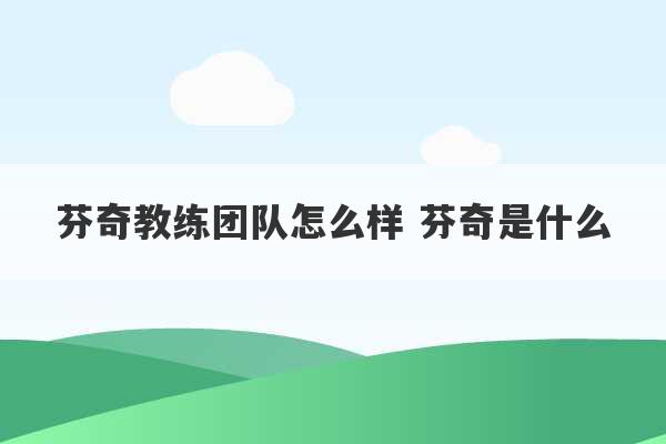 芬奇教练团队怎么样 芬奇是什么