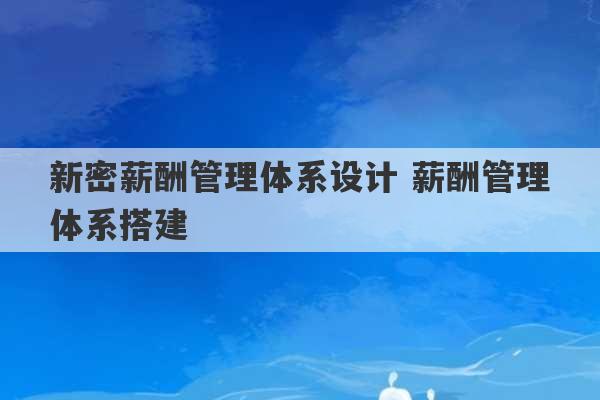 新密薪酬管理体系设计 薪酬管理体系搭建