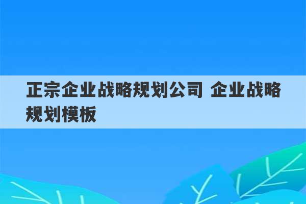 正宗企业战略规划公司 企业战略规划模板