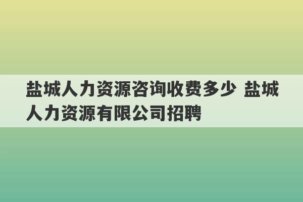 盐城人力资源咨询收费多少 盐城人力资源有限公司招聘