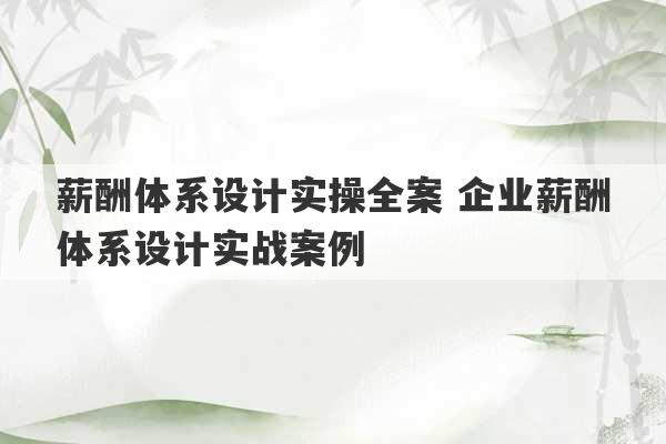 薪酬体系设计实操全案 企业薪酬体系设计实战案例