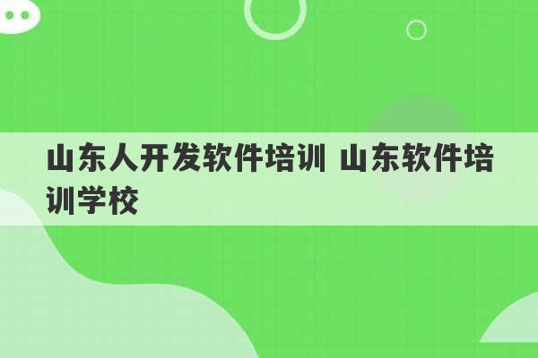 山东人开发软件培训 山东软件培训学校