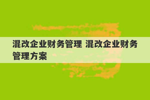 混改企业财务管理 混改企业财务管理方案