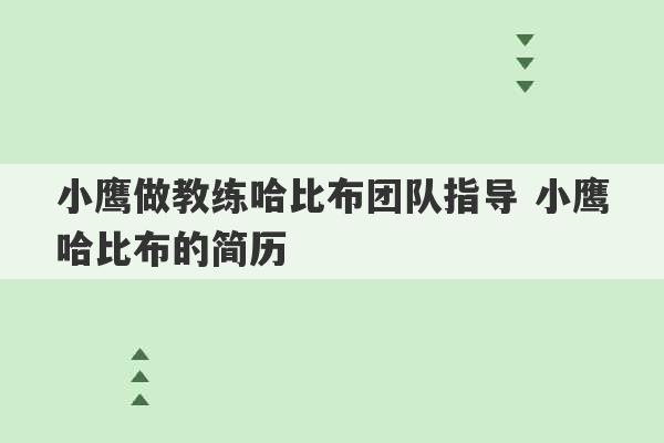 小鹰做教练哈比布团队指导 小鹰哈比布的简历