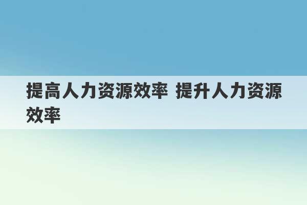 提高人力资源效率 提升人力资源效率