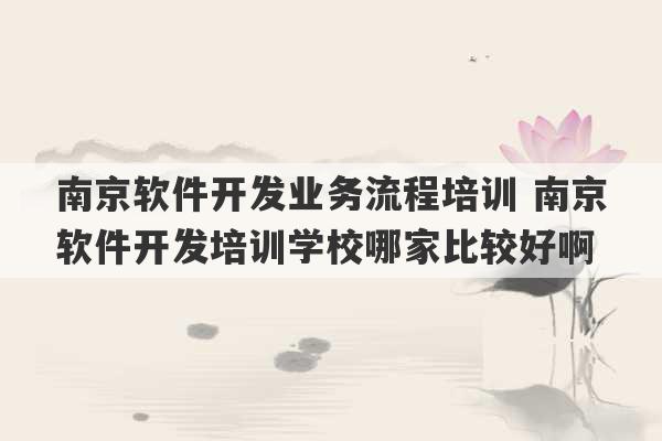 南京软件开发业务流程培训 南京软件开发培训学校哪家比较好啊