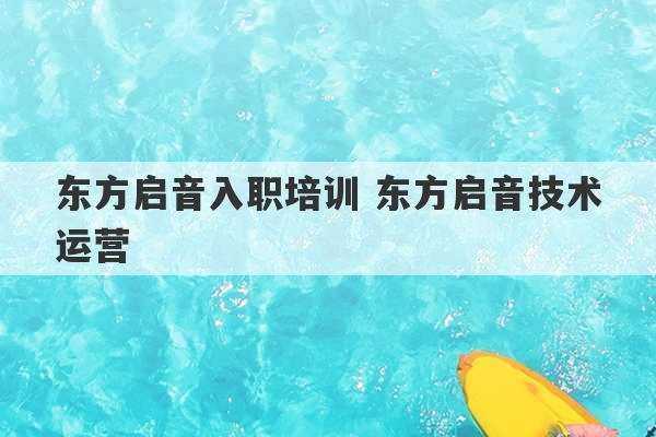 东方启音入职培训 东方启音技术运营