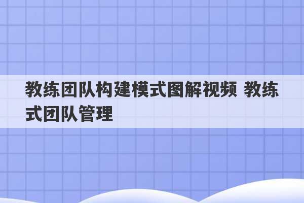 教练团队构建模式图解视频 教练式团队管理