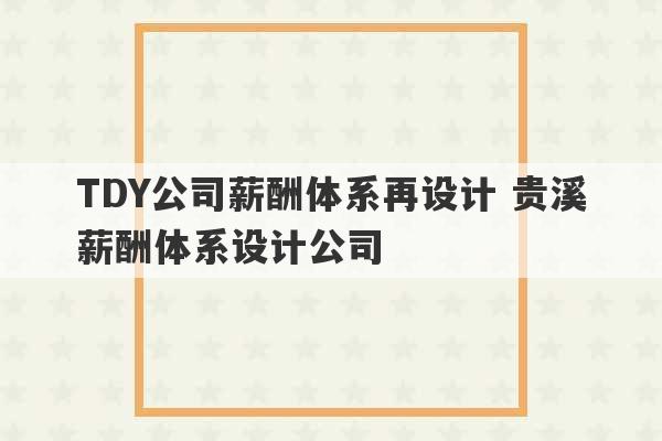 TDY公司薪酬体系再设计 贵溪薪酬体系设计公司