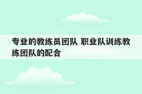 专业的教练员团队 职业队训练教练团队的配合