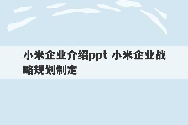 小米企业介绍ppt 小米企业战略规划制定