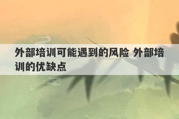 外部培训可能遇到的风险 外部培训的优缺点