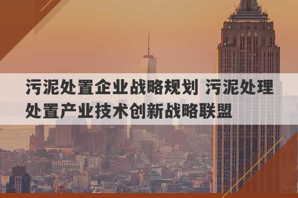 污泥处置企业战略规划 污泥处理处置产业技术创新战略联盟