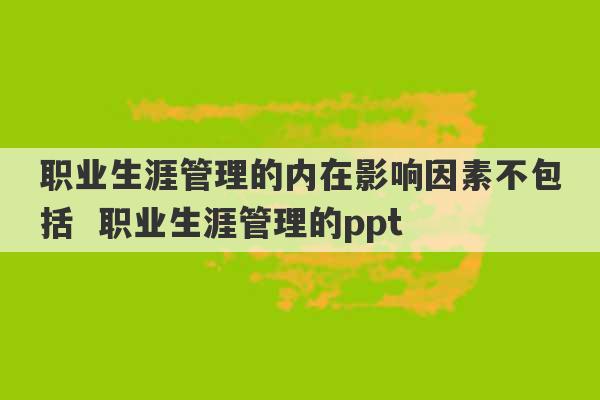 职业生涯管理的内在影响因素不包括  职业生涯管理的ppt