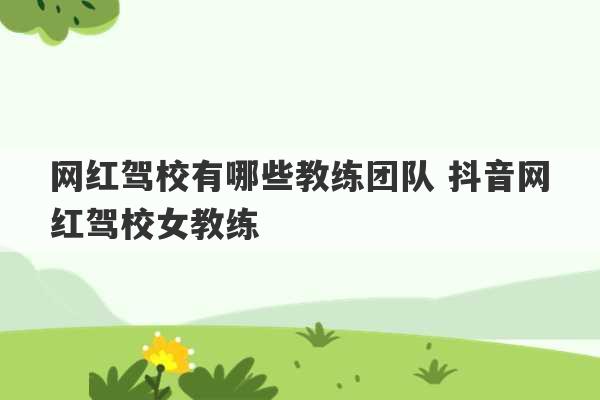 网红驾校有哪些教练团队 抖音网红驾校女教练