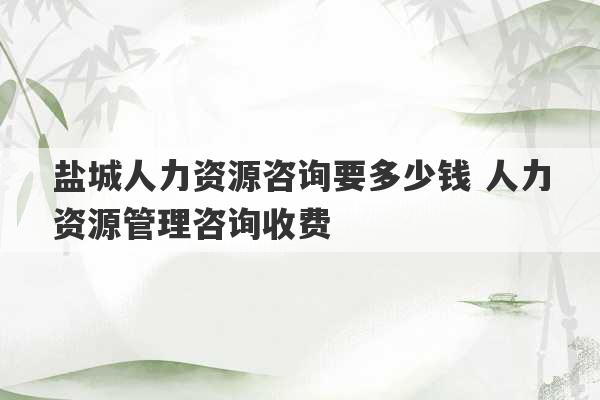 盐城人力资源咨询要多少钱 人力资源管理咨询收费