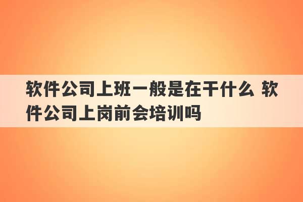 软件公司上班一般是在干什么 软件公司上岗前会培训吗