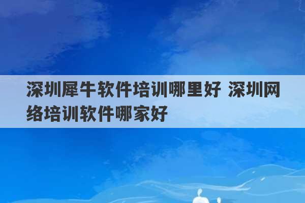 深圳犀牛软件培训哪里好 深圳网络培训软件哪家好