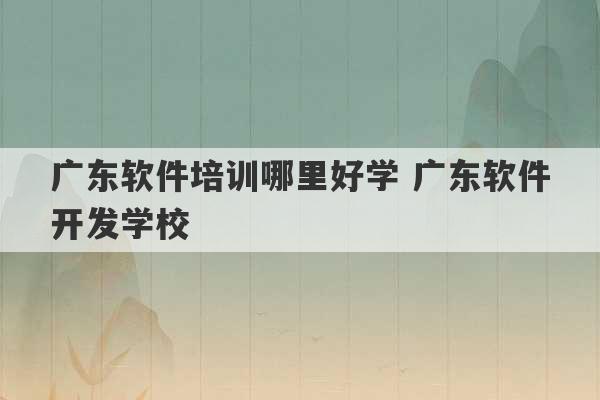 广东软件培训哪里好学 广东软件开发学校