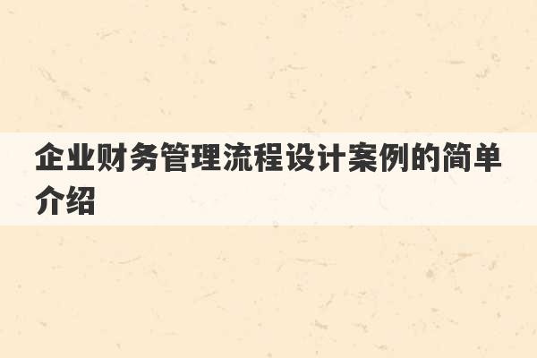 企业财务管理流程设计案例的简单介绍