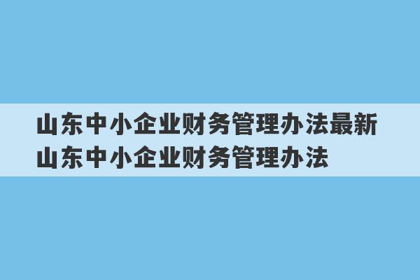 山东中小企业财务管理办法最新 山东中小企业财务管理办法