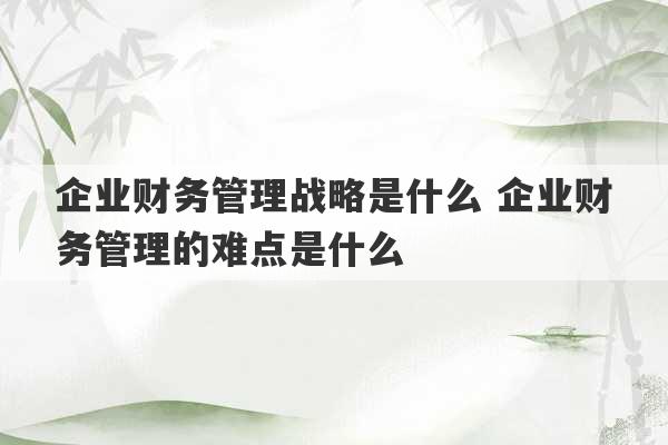 企业财务管理战略是什么 企业财务管理的难点是什么