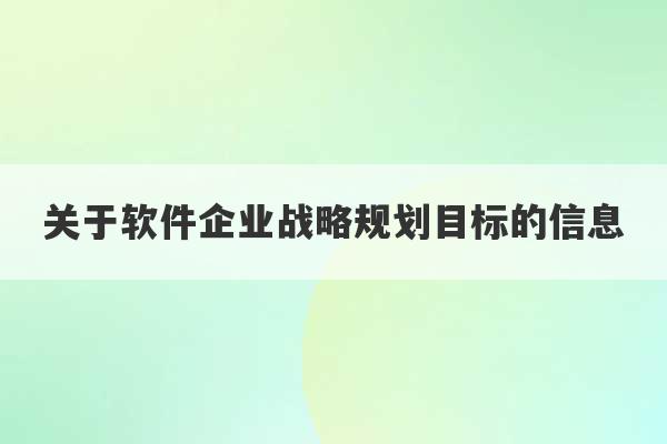 关于软件企业战略规划目标的信息