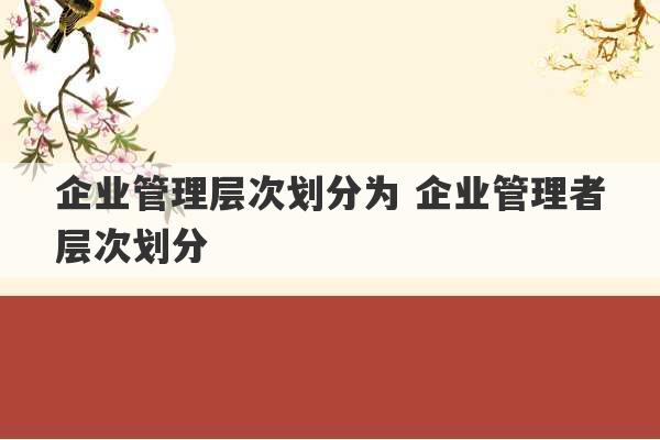 企业管理层次划分为 企业管理者层次划分