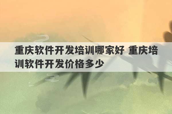 重庆软件开发培训哪家好 重庆培训软件开发价格多少