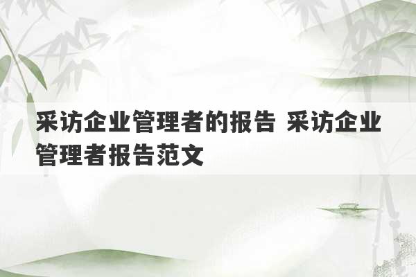 采访企业管理者的报告 采访企业管理者报告范文