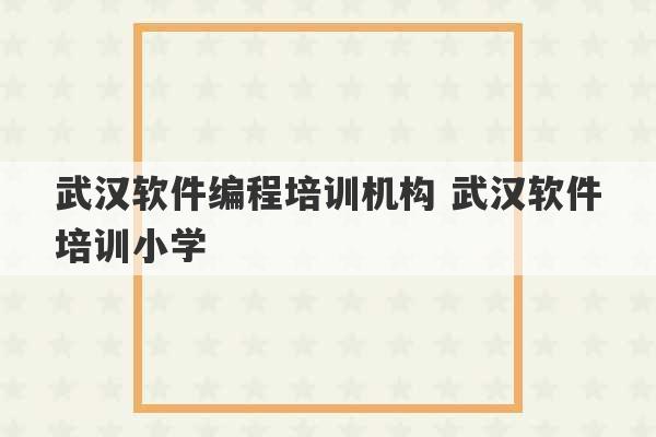 武汉软件编程培训机构 武汉软件培训小学