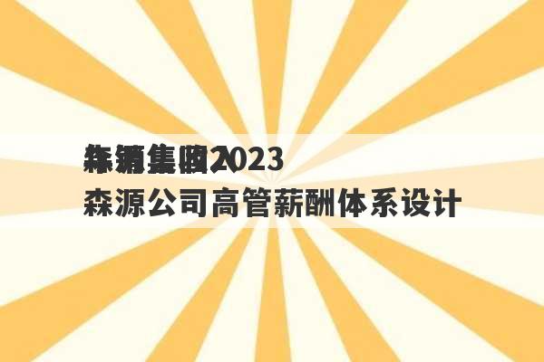 森源集团2023
年销售收入 森源公司高管薪酬体系设计