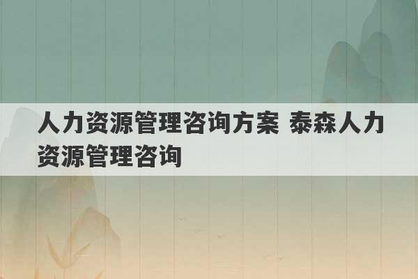 人力资源管理咨询方案 泰森人力资源管理咨询