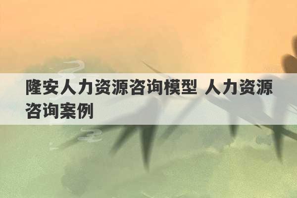 隆安人力资源咨询模型 人力资源咨询案例