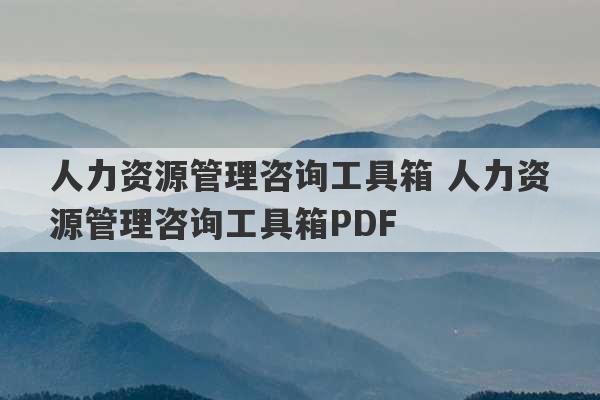 人力资源管理咨询工具箱 人力资源管理咨询工具箱PDF