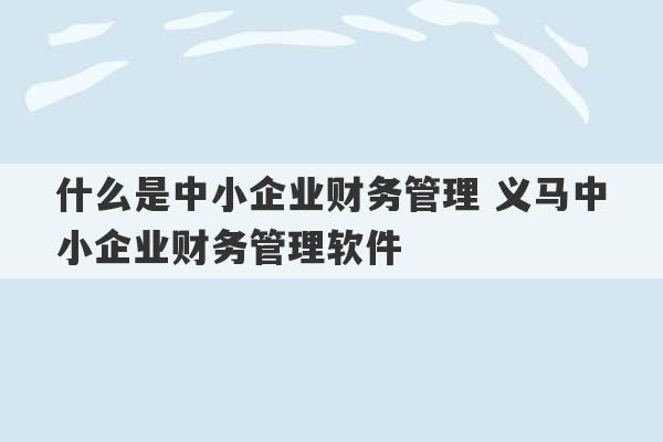 什么是中小企业财务管理 义马中小企业财务管理软件